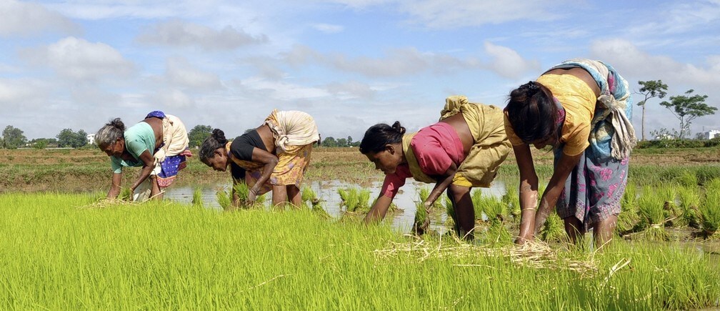 4 ways countries are successfully fighting hunger
