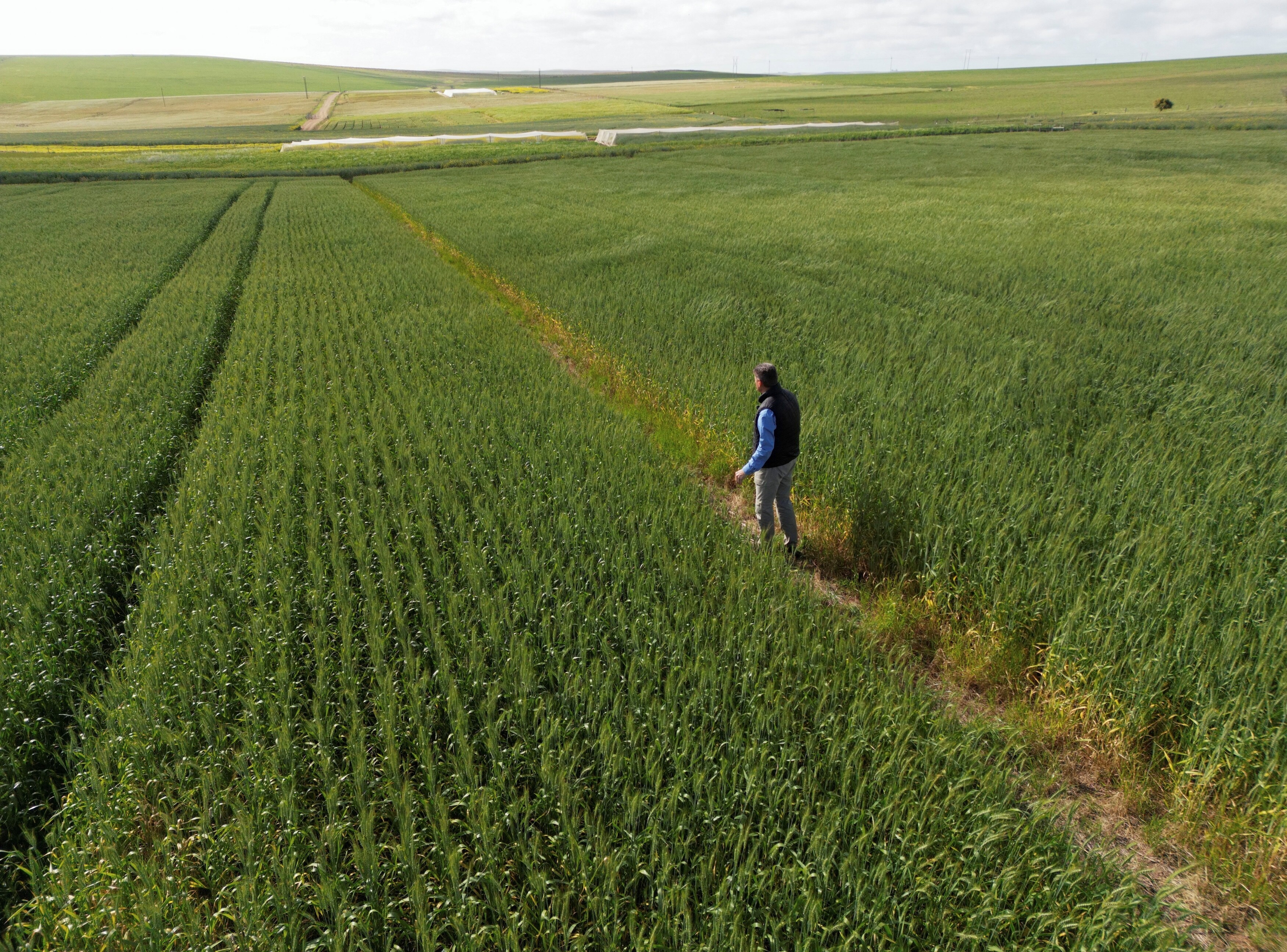 Farmers all over the world need custom insurance options to deal with a changing climate.