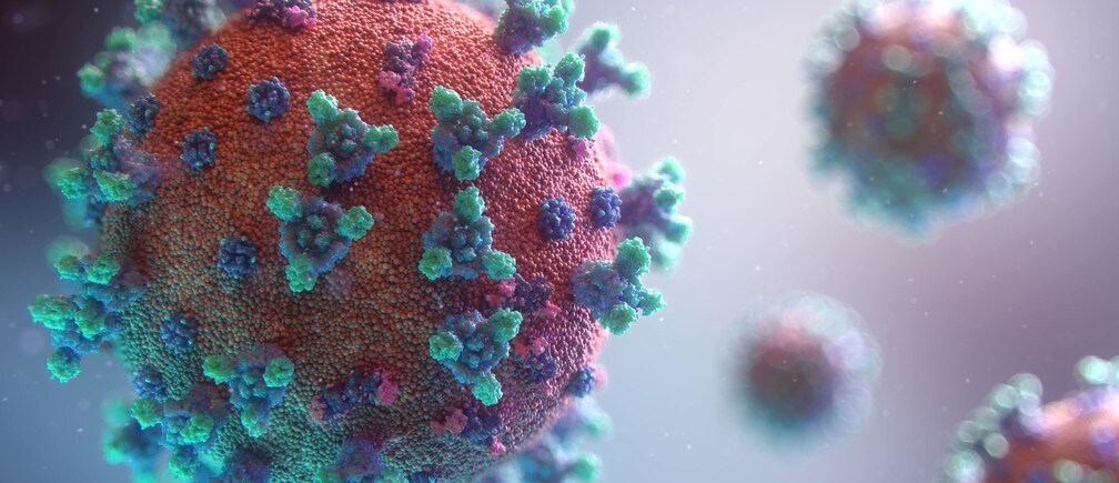 A 3D computer-generated model of the coronavirus