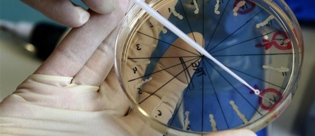 How can we ensure the success of precision medicine?