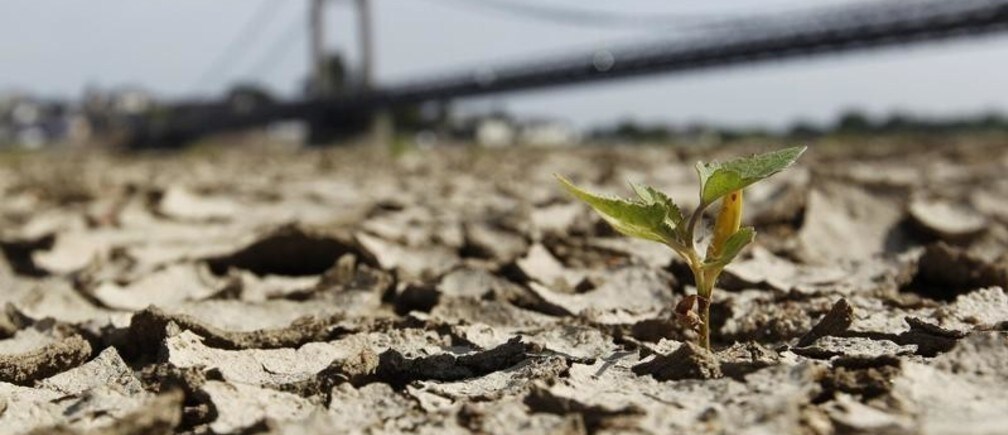 Timeline: a brief history of sustainable consumption