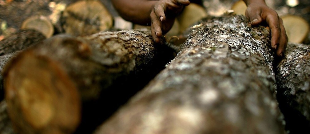 Why humans are in the driver’s seat of evolution