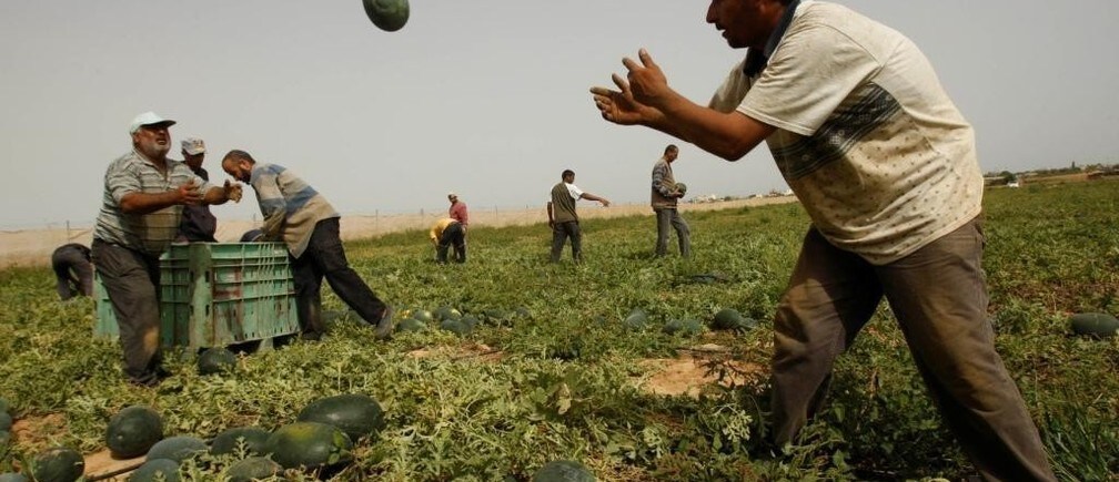 Food and nutrition security