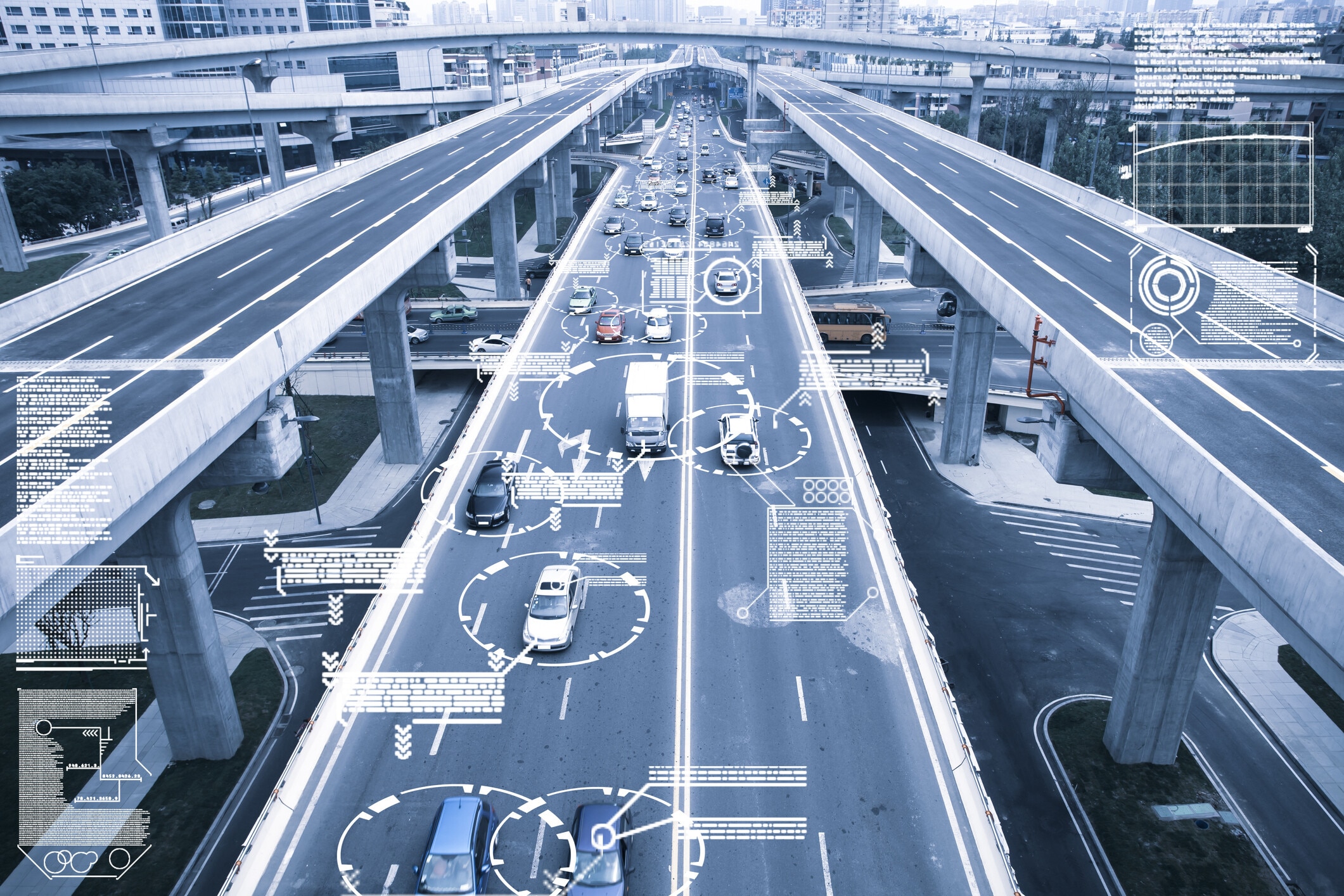 World models represent how environments change and predict how actions may affect them.