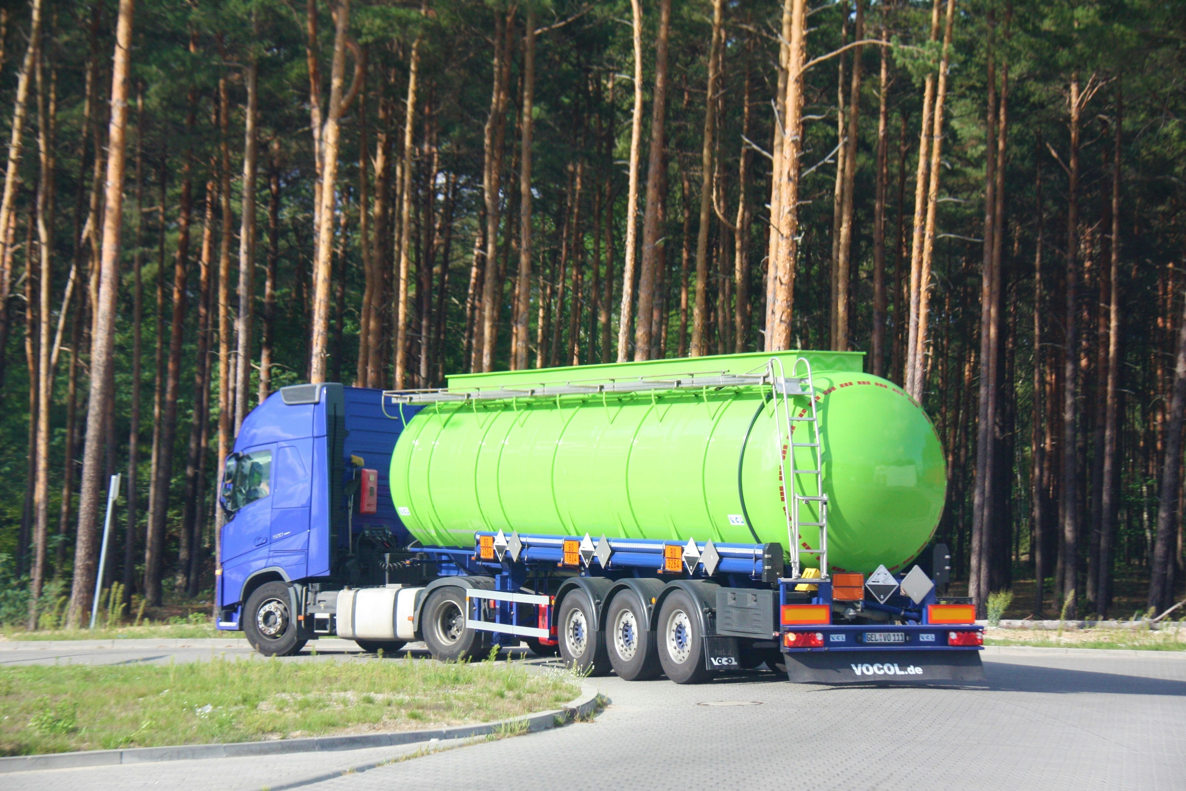 A lorry driving through a forest, illustrating road freight's challenge to become more sustainable