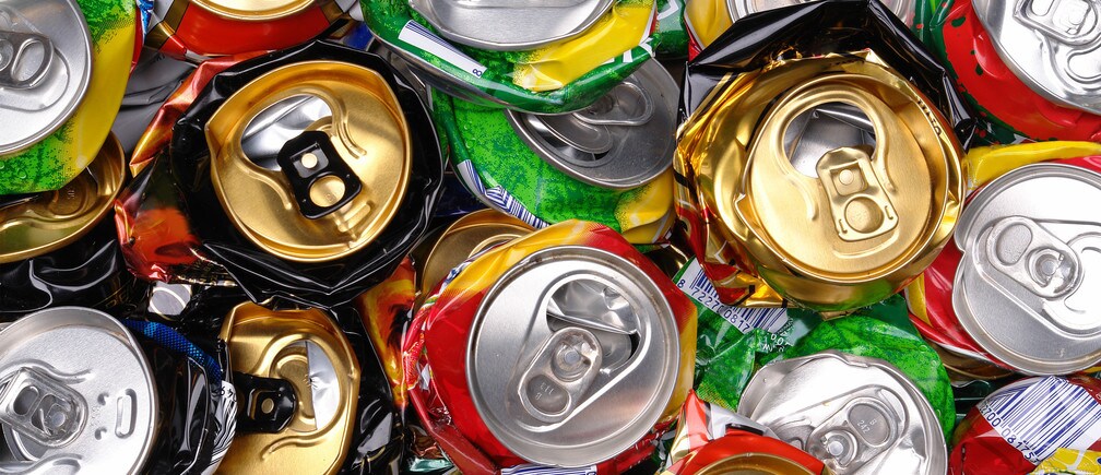 Sustainability’s Cinderella – us!