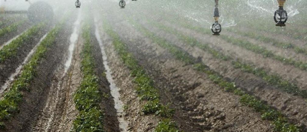 World Water Day: The world is thirsty because we are hungry