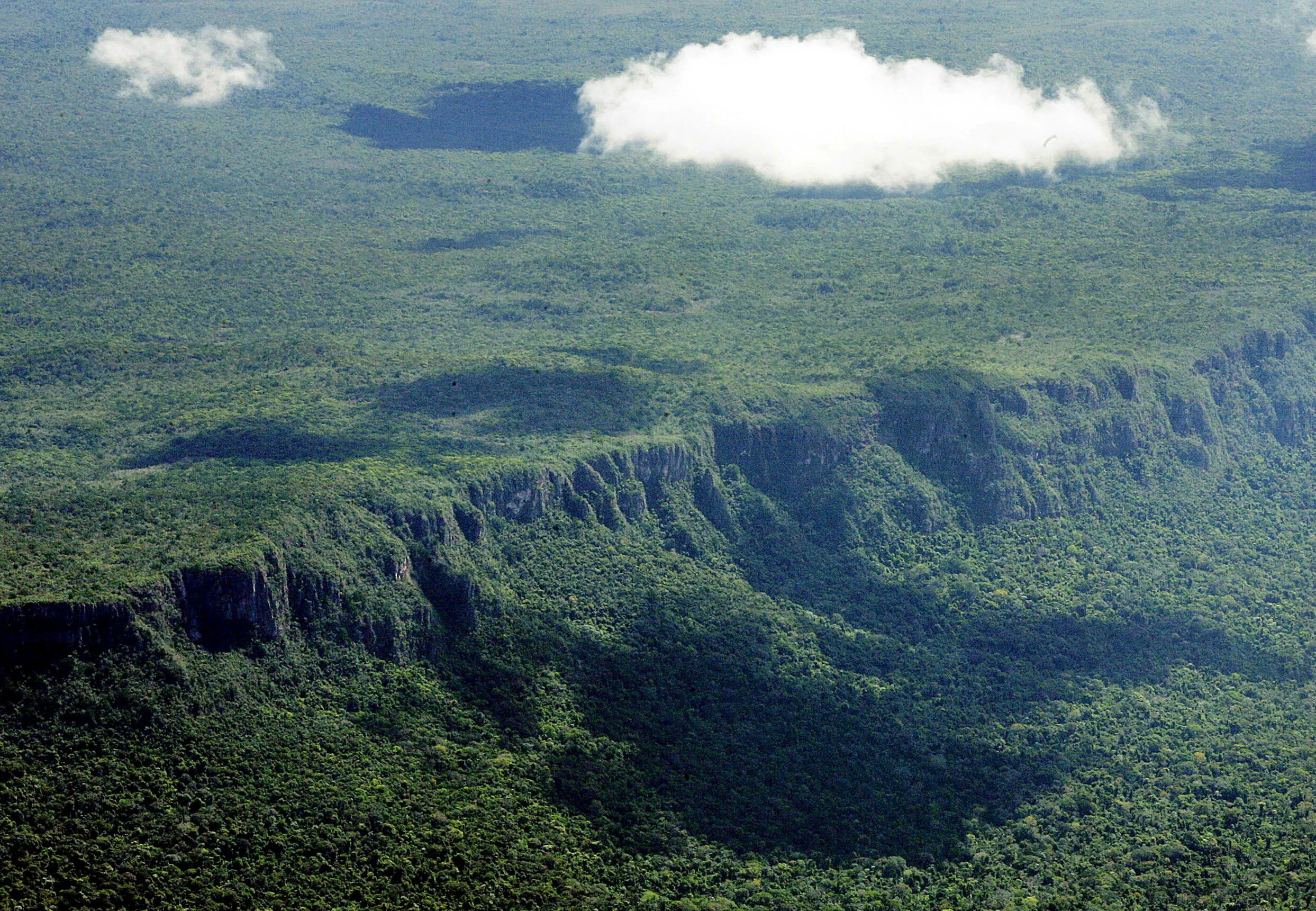Bosque virgen de la Amazonía en foto aérea tomada sobre el estado de Mato Grosso, uno de los estados brasileños con mayor deforestación. 
