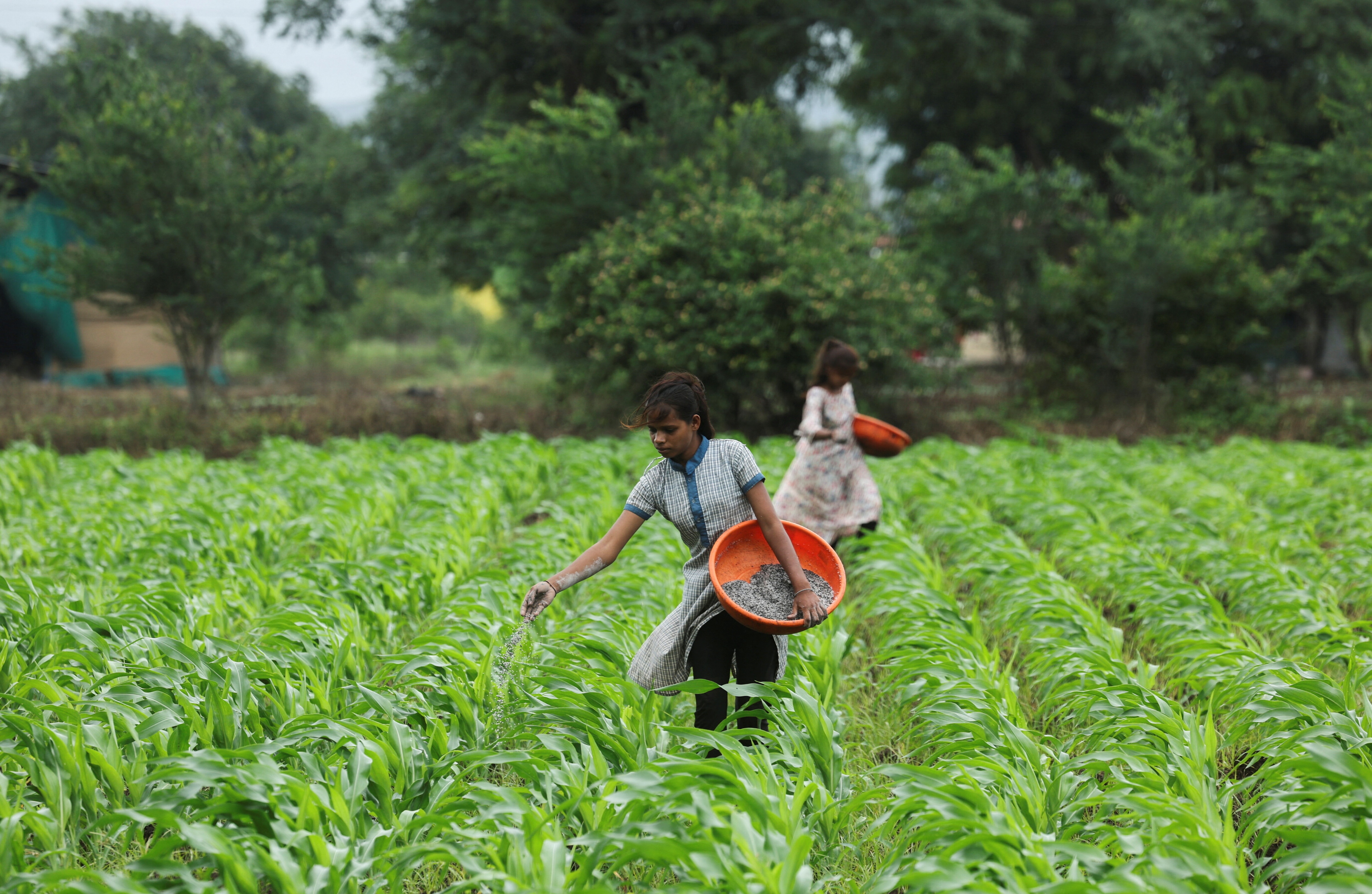 Digital systems have helped give the Indian government greater visibility into local economies.