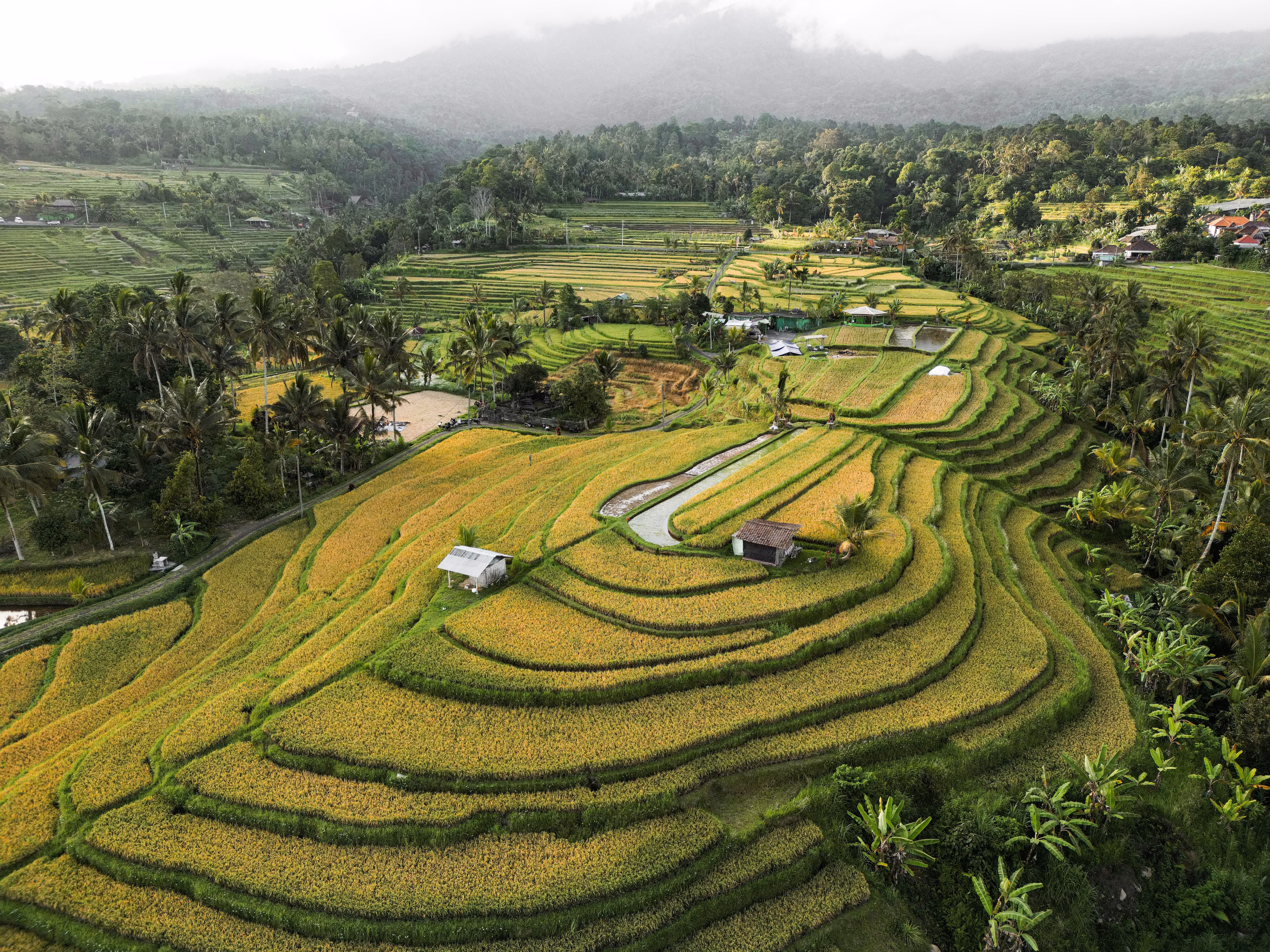 Terrazas agrícolas en Vietnam, un lugar muy turístico.