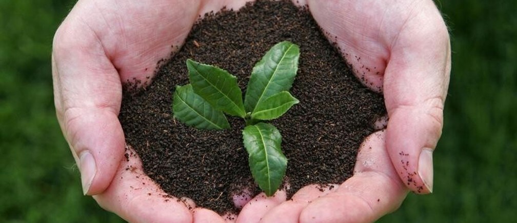 Soil is no quick fix for climate change