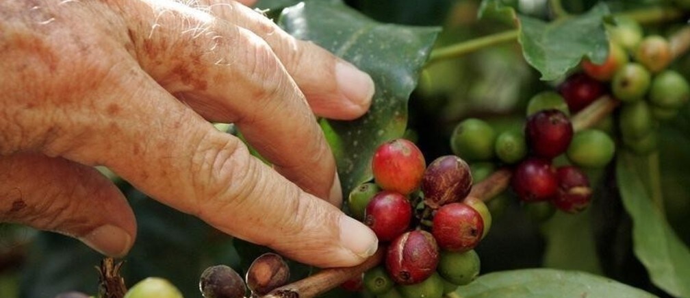 Por qué los auges de los recursos naturales son una bendición ambivalente para las comunidades locales