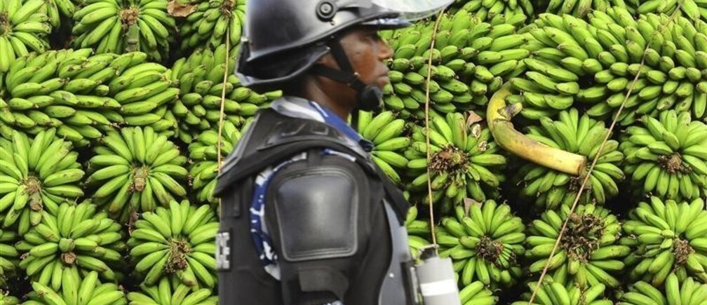 Food security in Africa is more than just a dream