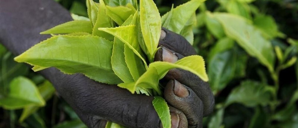 A Shared Agenda to Grow Africa