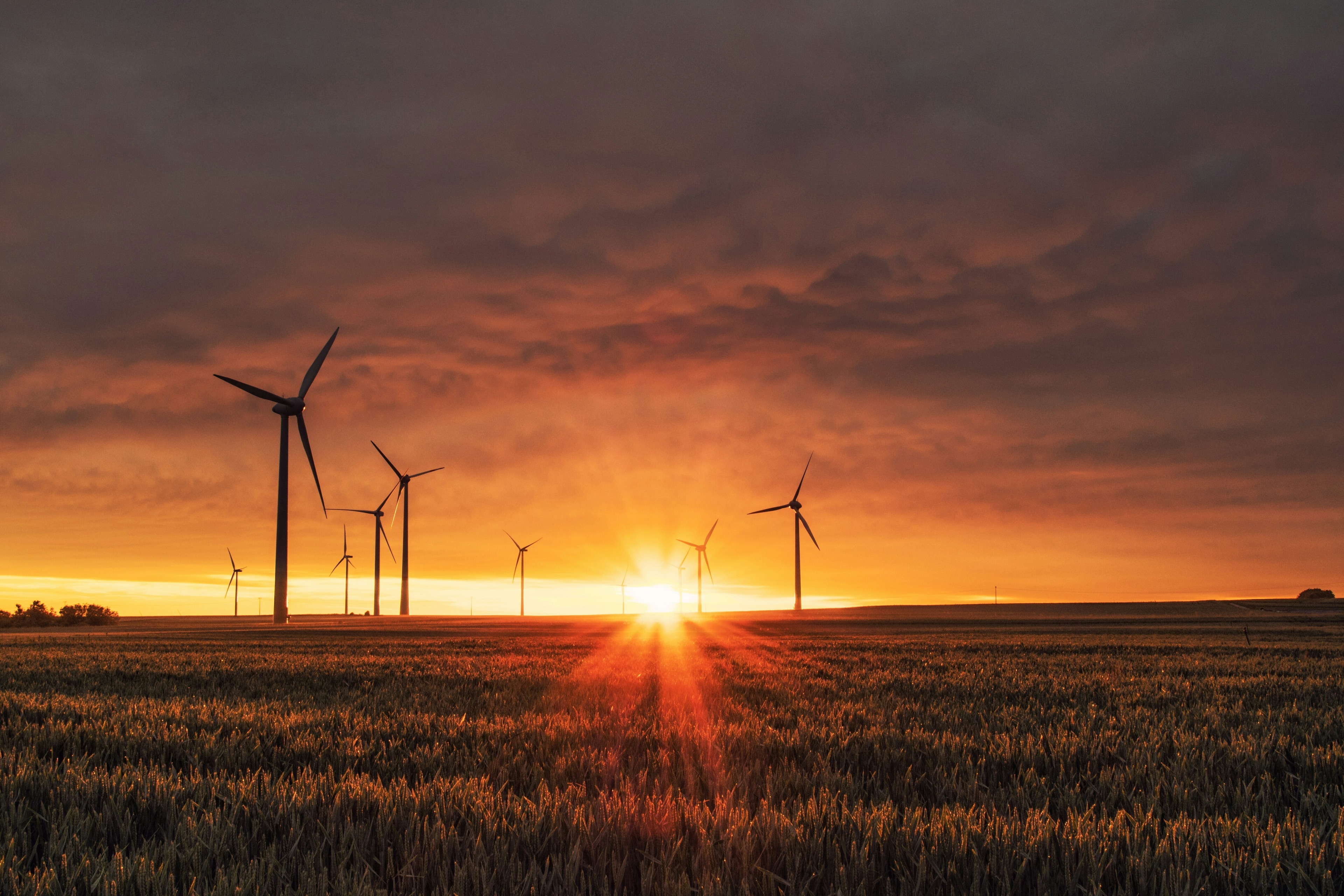 Wind turbines on a vast field at the golden hour: Investment in climate technology can offer up to $19 returns for every dollar spent