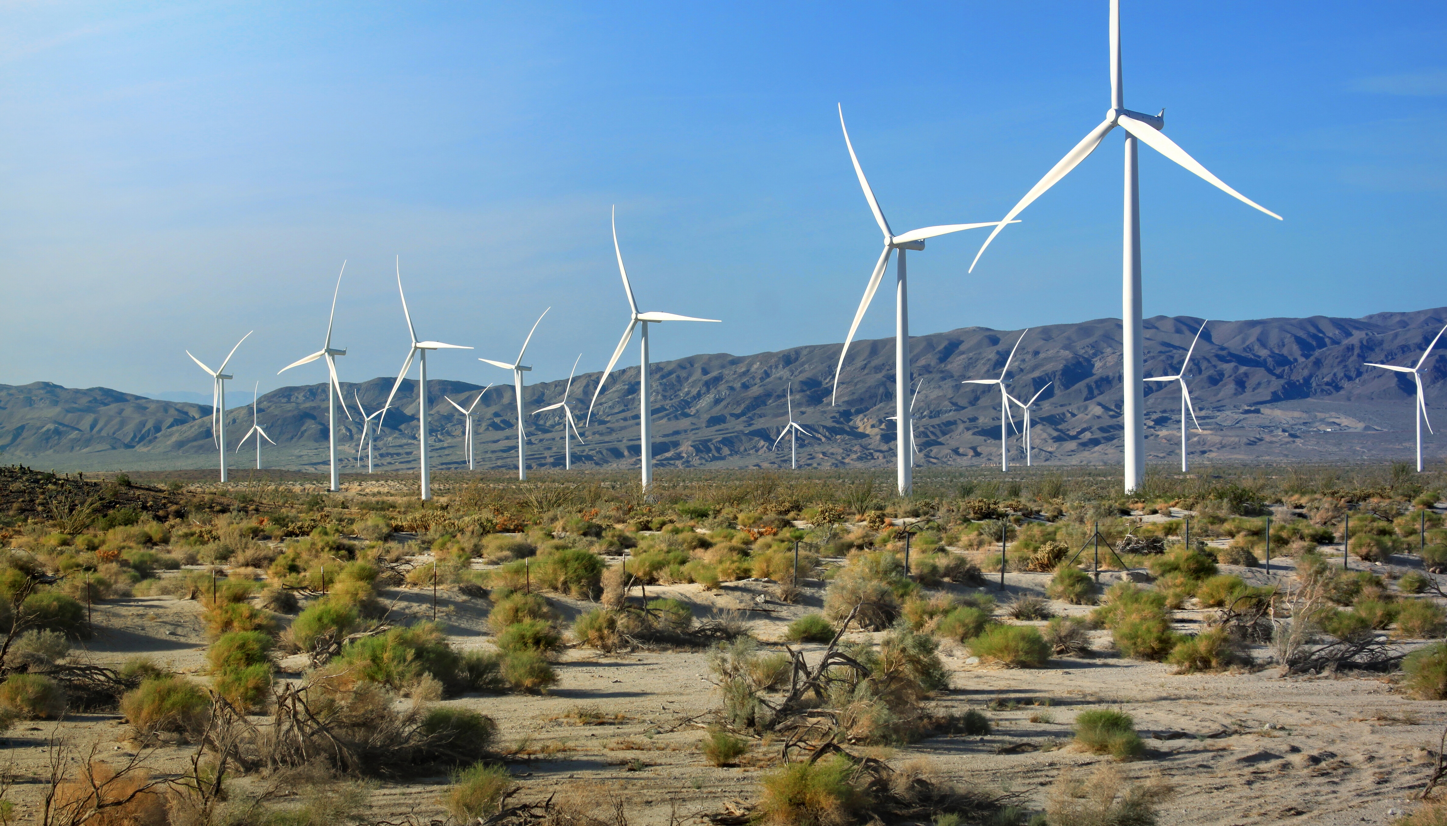 The science behind the energy transition remains consistent, where regulations and geopolitics do not.