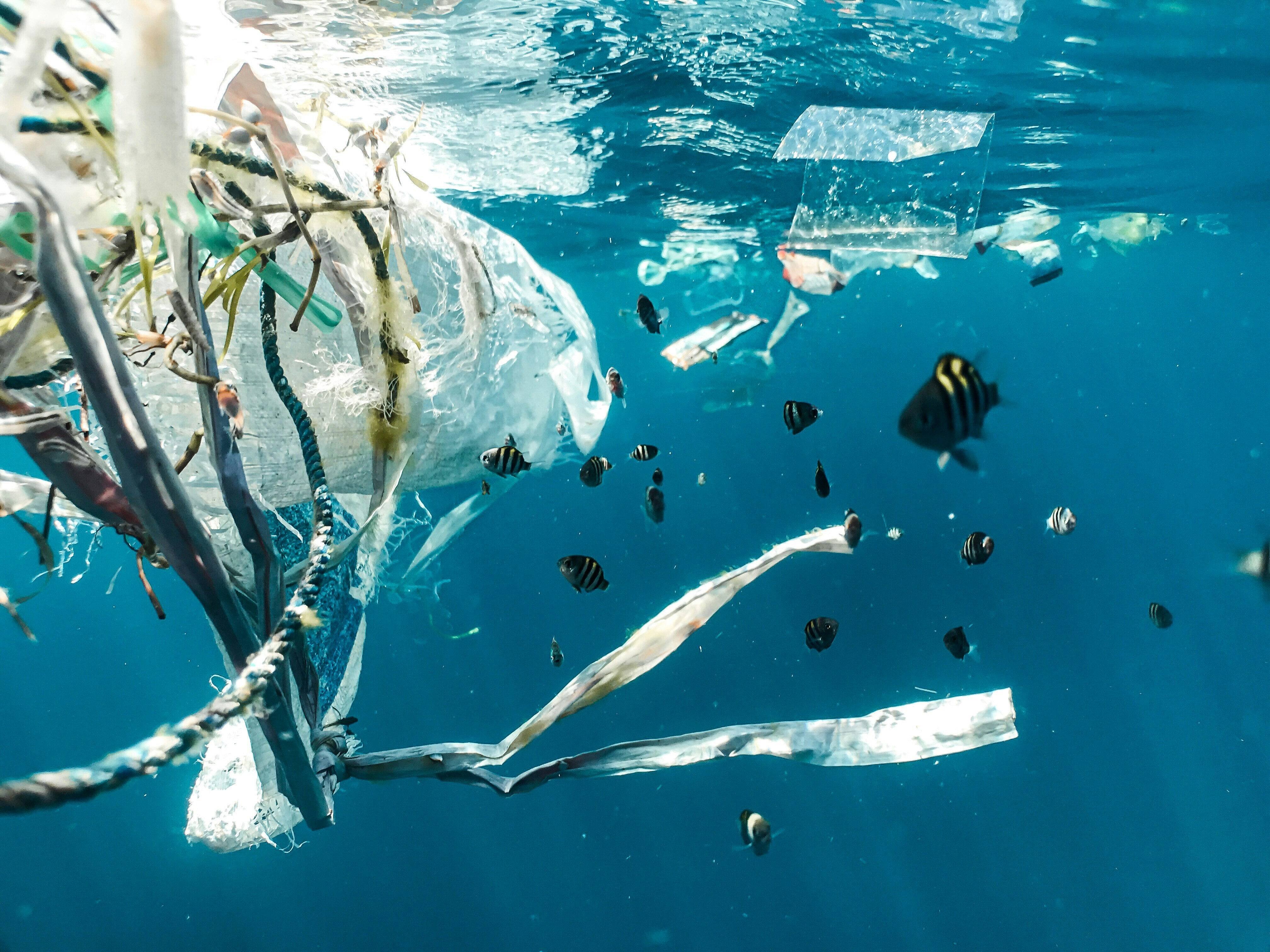Last year's Global Plastics Treaty talks in Geneva failed to reach agreement.