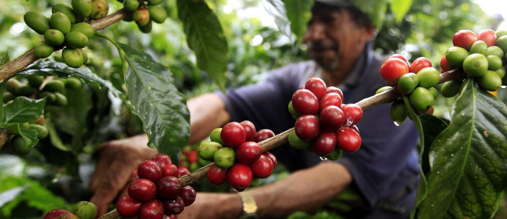 3 ways farmers can combat climate change