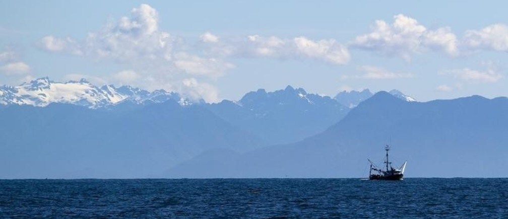 The five biggest threats to our oceans