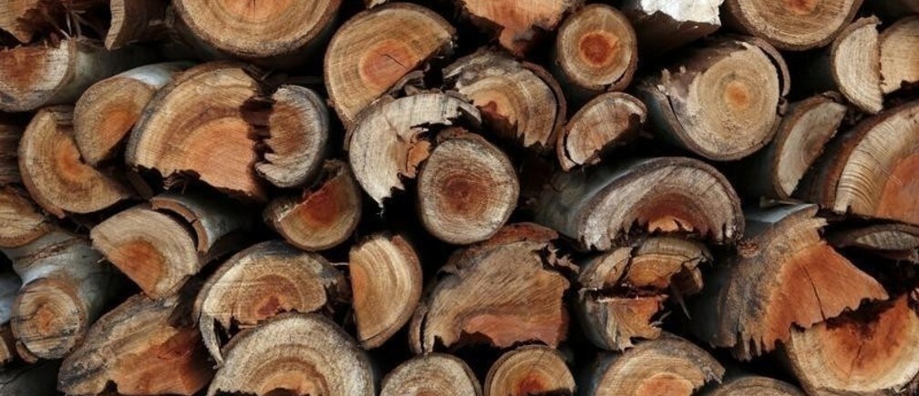 ¿Quiénes son los más afectados por la deforestación?