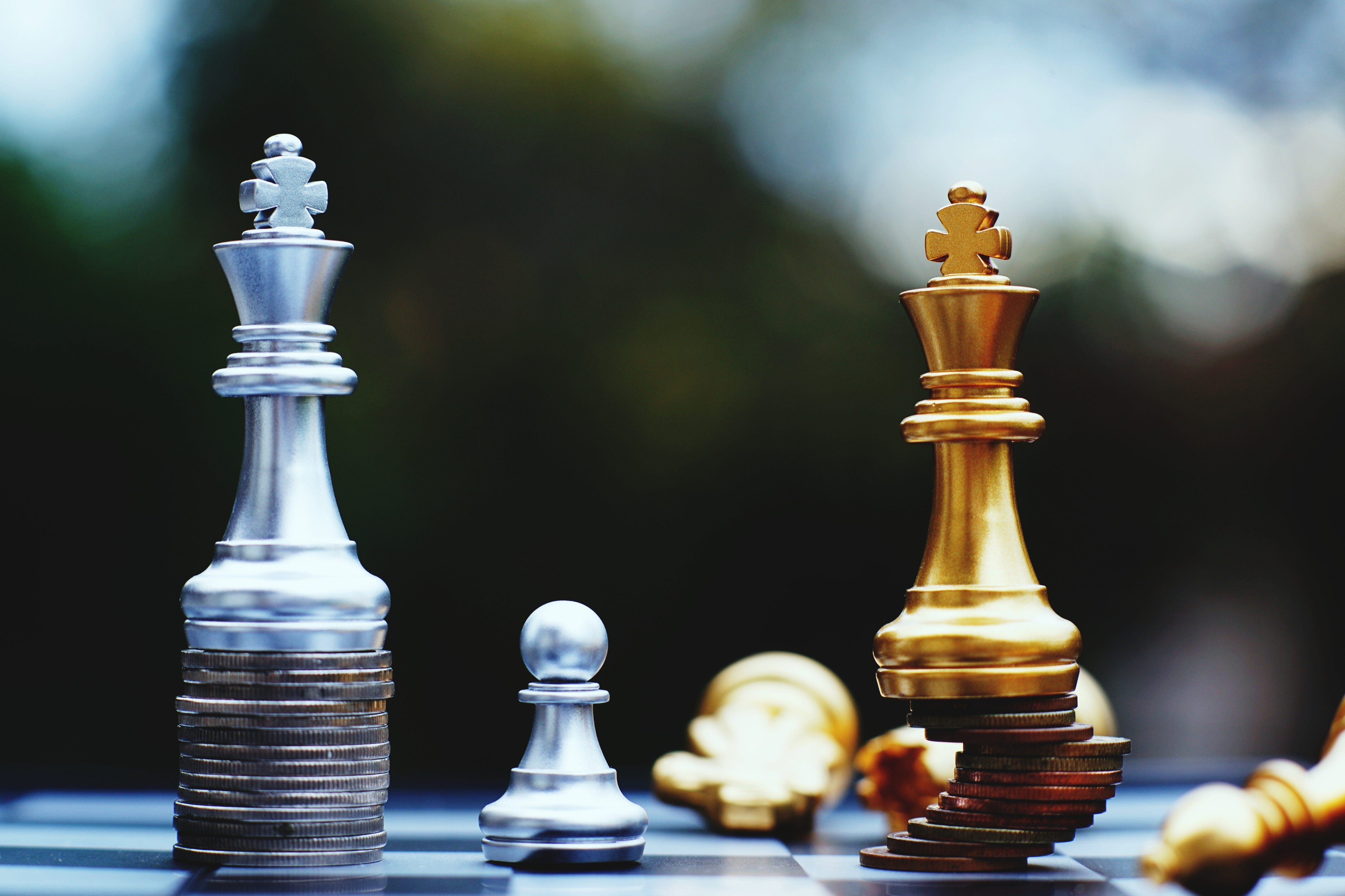 Chess board game, business competition concept, strong financial capital advantage situation against unstable finance team, winner and loser