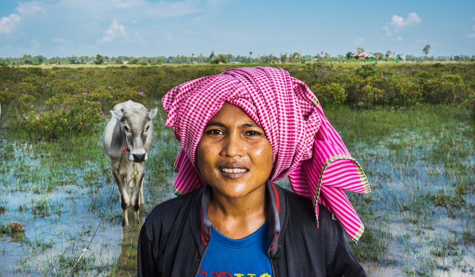 Farmer in a field, cow, vegetation, water, pink headscarf; zoonotic infectious disease