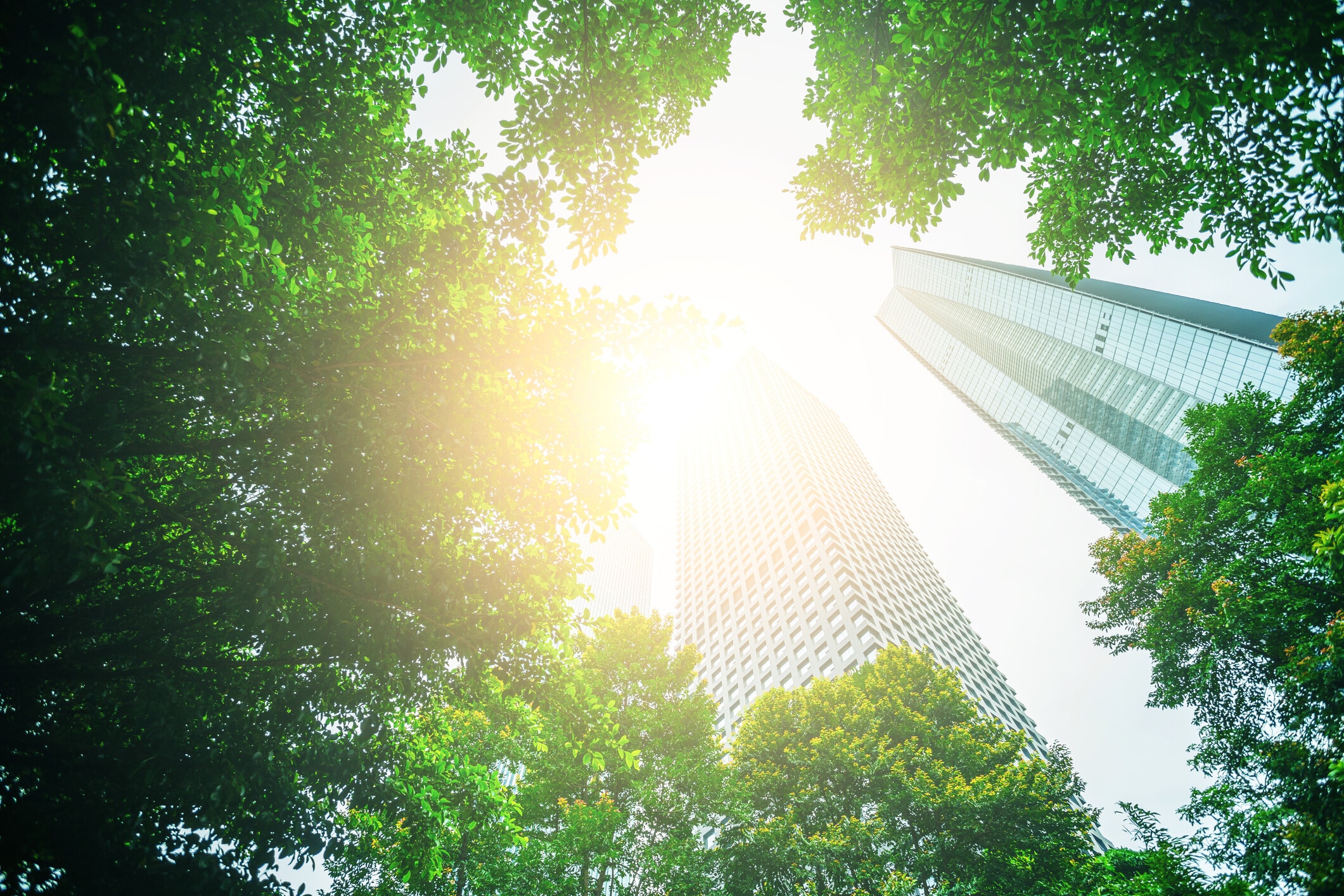 Business is one of the most powerful levers for transformation when it comes to Earth systems, and needs to rethink how modern systems are designed.