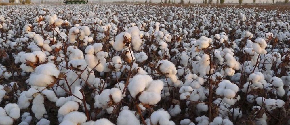 Can sustainability be profitable?
