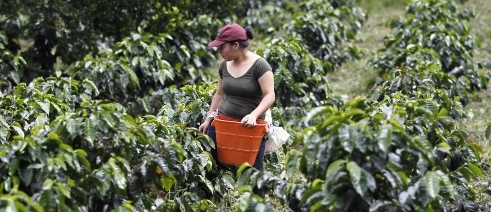 What does the Paris Agreement mean for climate-smart agriculture?