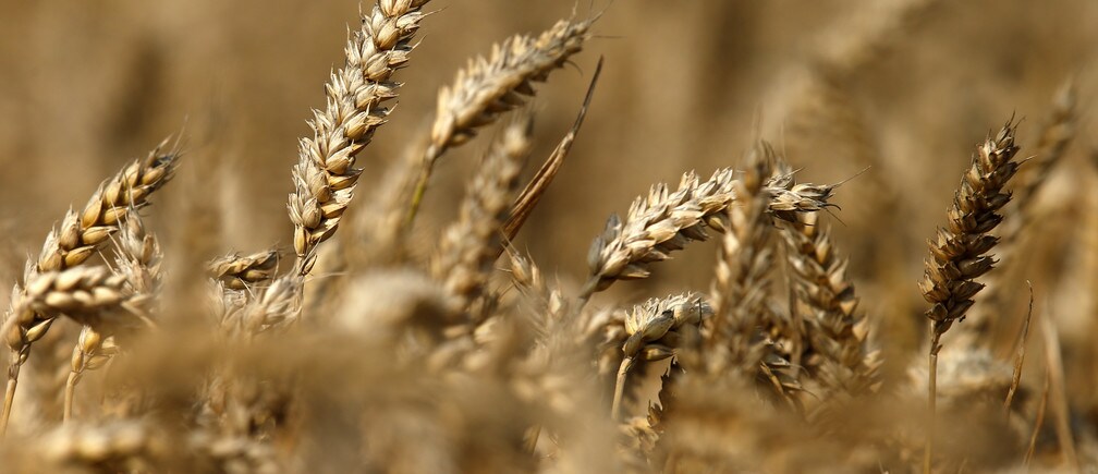4 ways climate change could cause food shortages