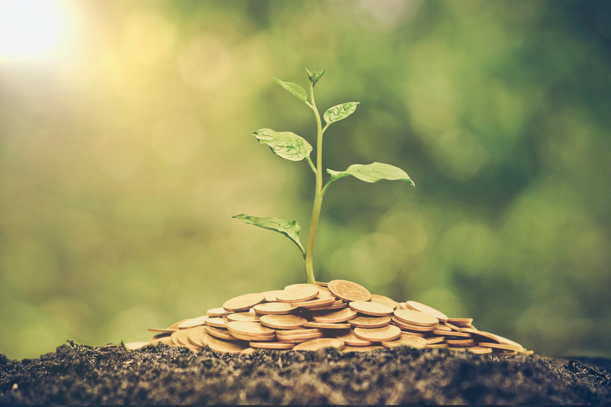 Businesses can and should help drive the world towards ‘reimagined’ prosperity for people and the planet.