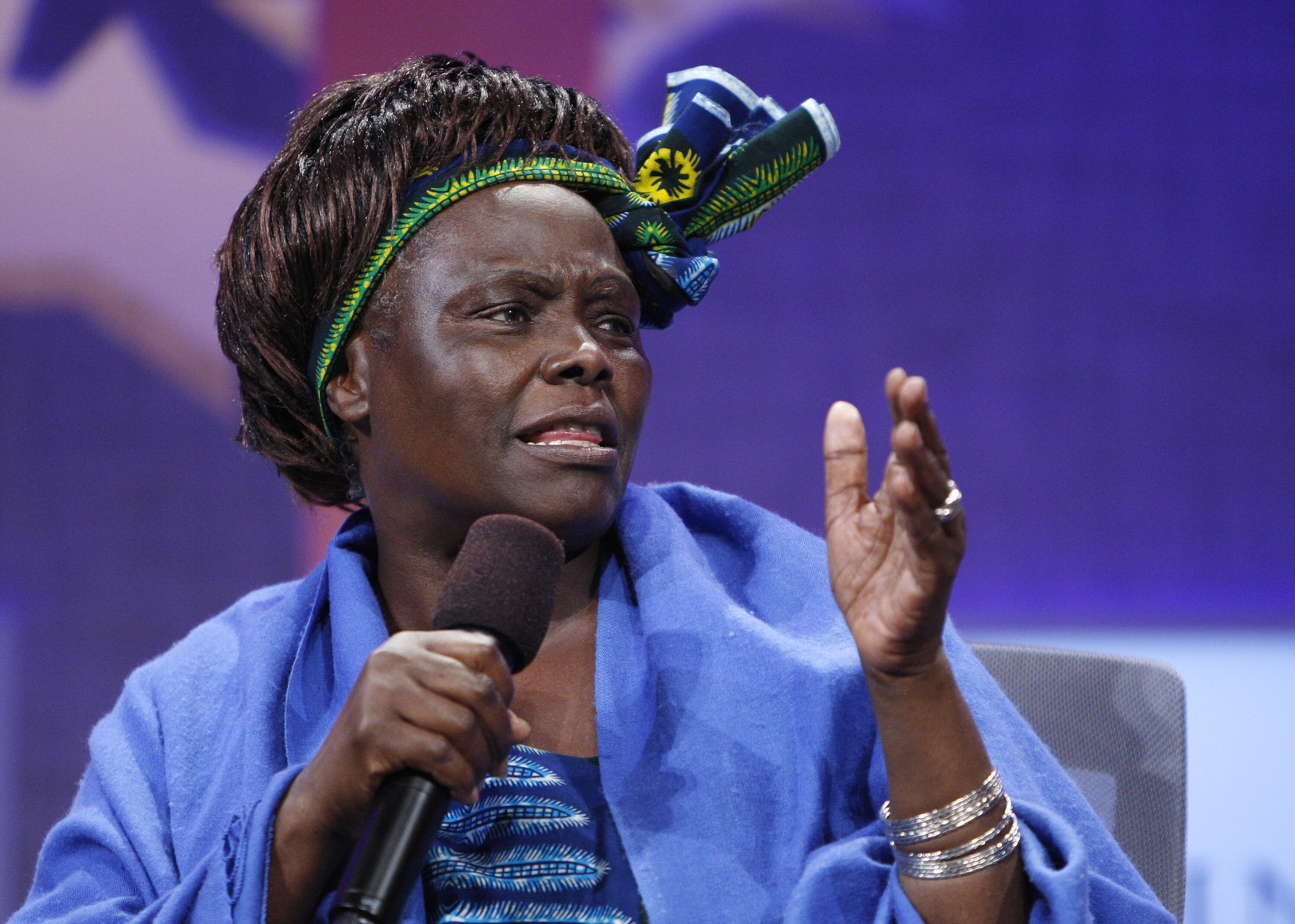 Kenyan social, environmental and political activist Wangari Maathai, the first African woman to win the Nobel Peace Prize.