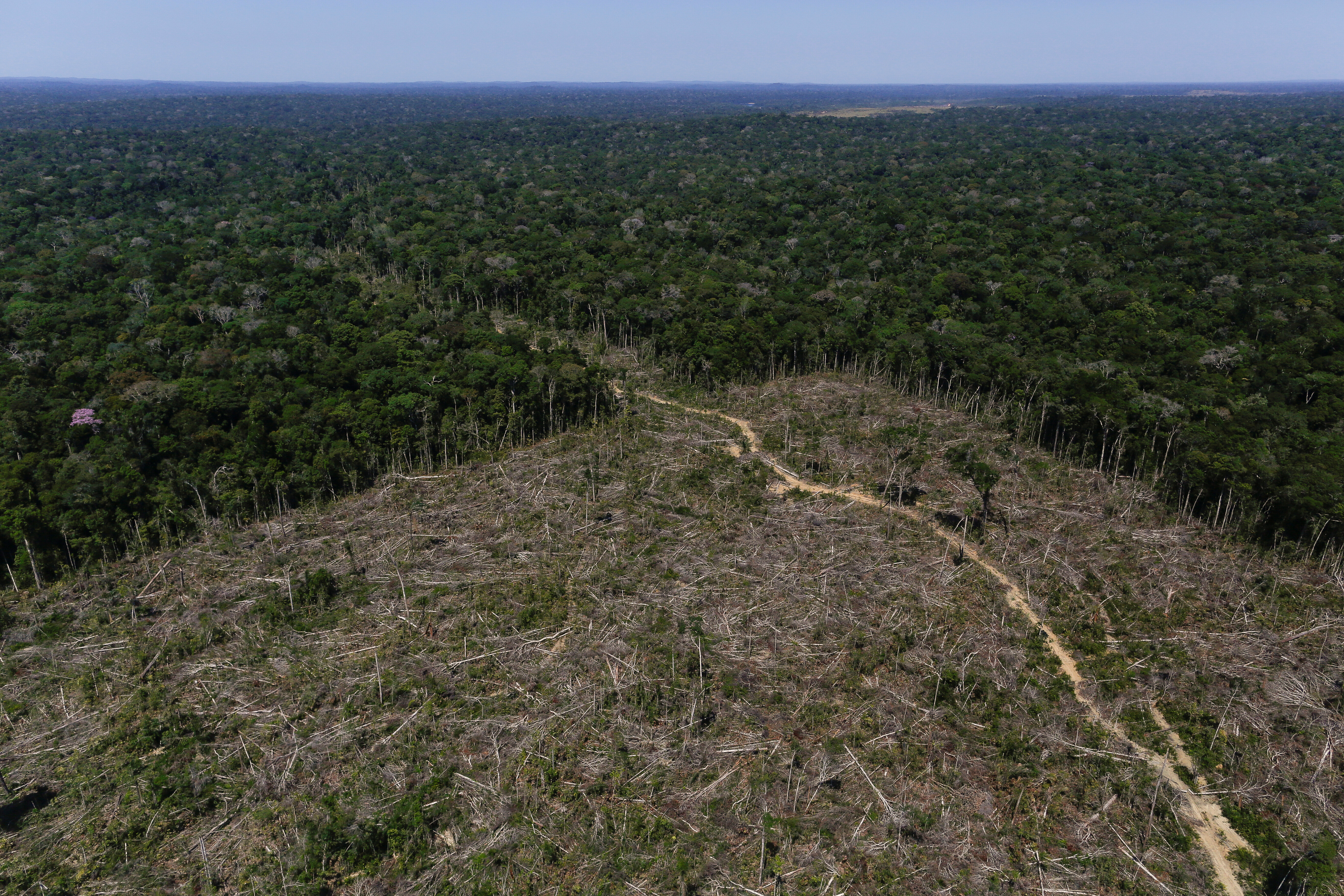An aerial view shows deforested land during "Operation Green Wave" conducted by agents of the Brazilian Institute for the Environment and Renewable Natural Resources, or Ibama, to combat illegal logging in Apui, in the southern region of the state of Amazonas, Brazil, July 27, 2017.