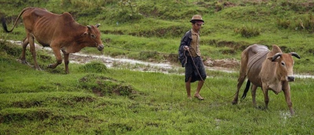 Four ways to help Myanmar’s rural poor