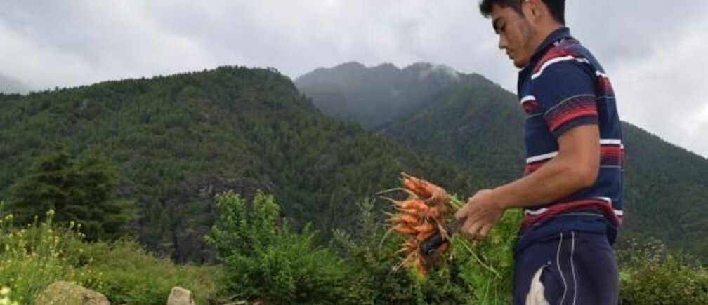 ¿Puede Bután avanzar hacia la agricultura orgánica?