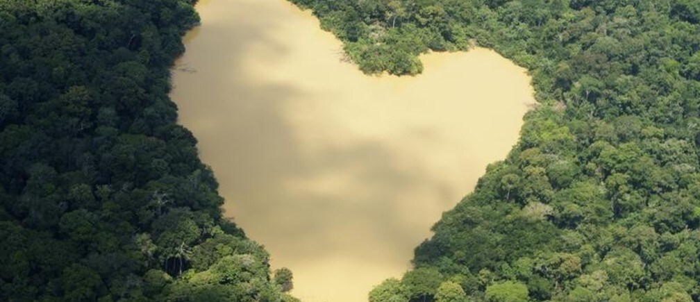 Developing a high tech bioindustry in the Amazon