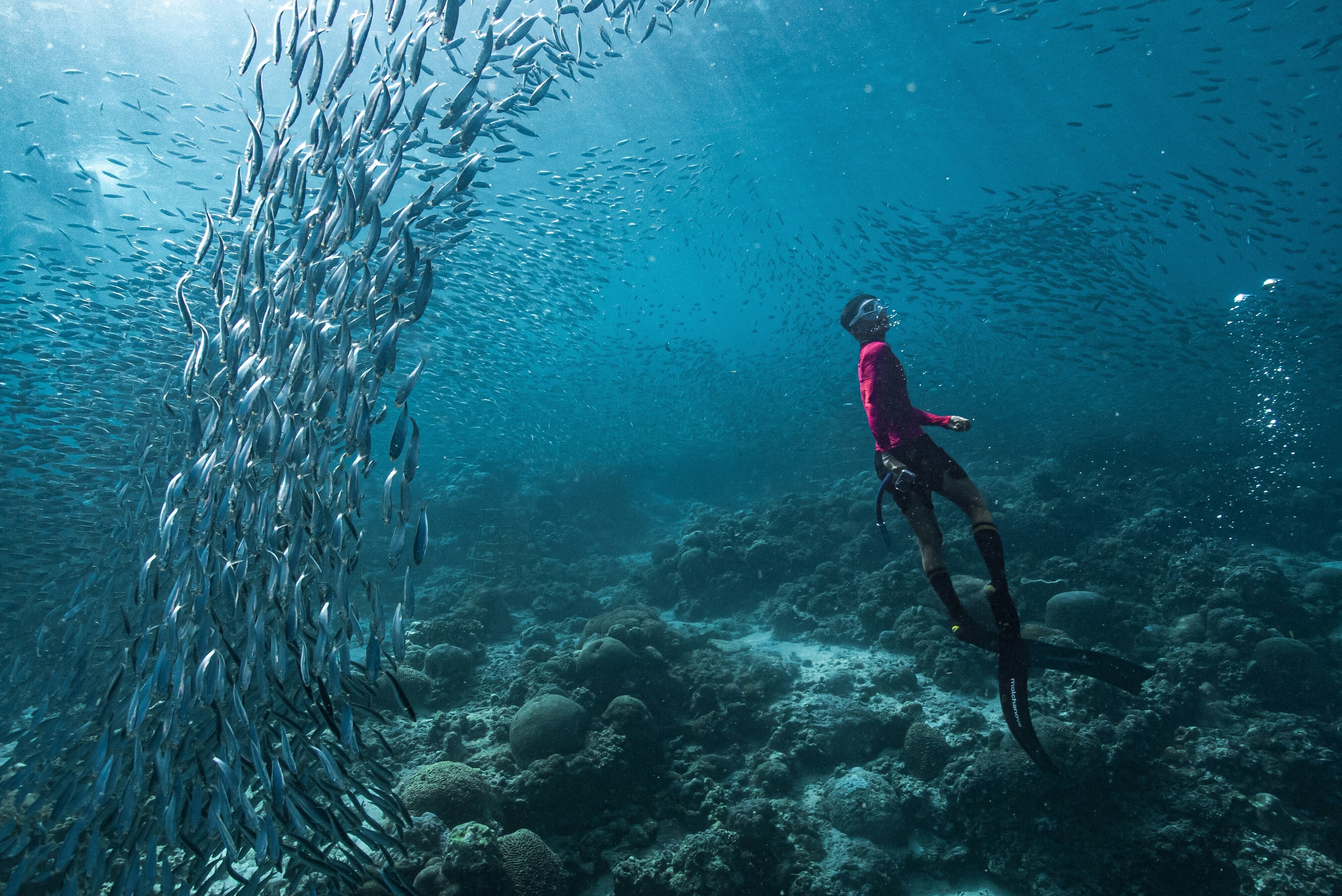 A free diver swims with a large school of fish: Nature-related risk can emerge alongside changes in ecosystem services