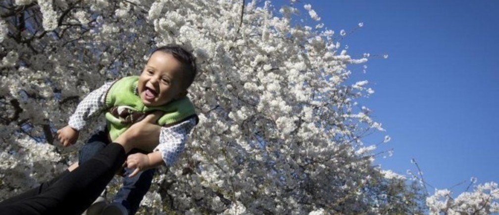 The importance of understanding child development