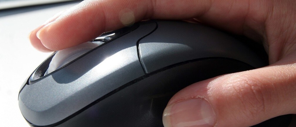 What is the future of online education?