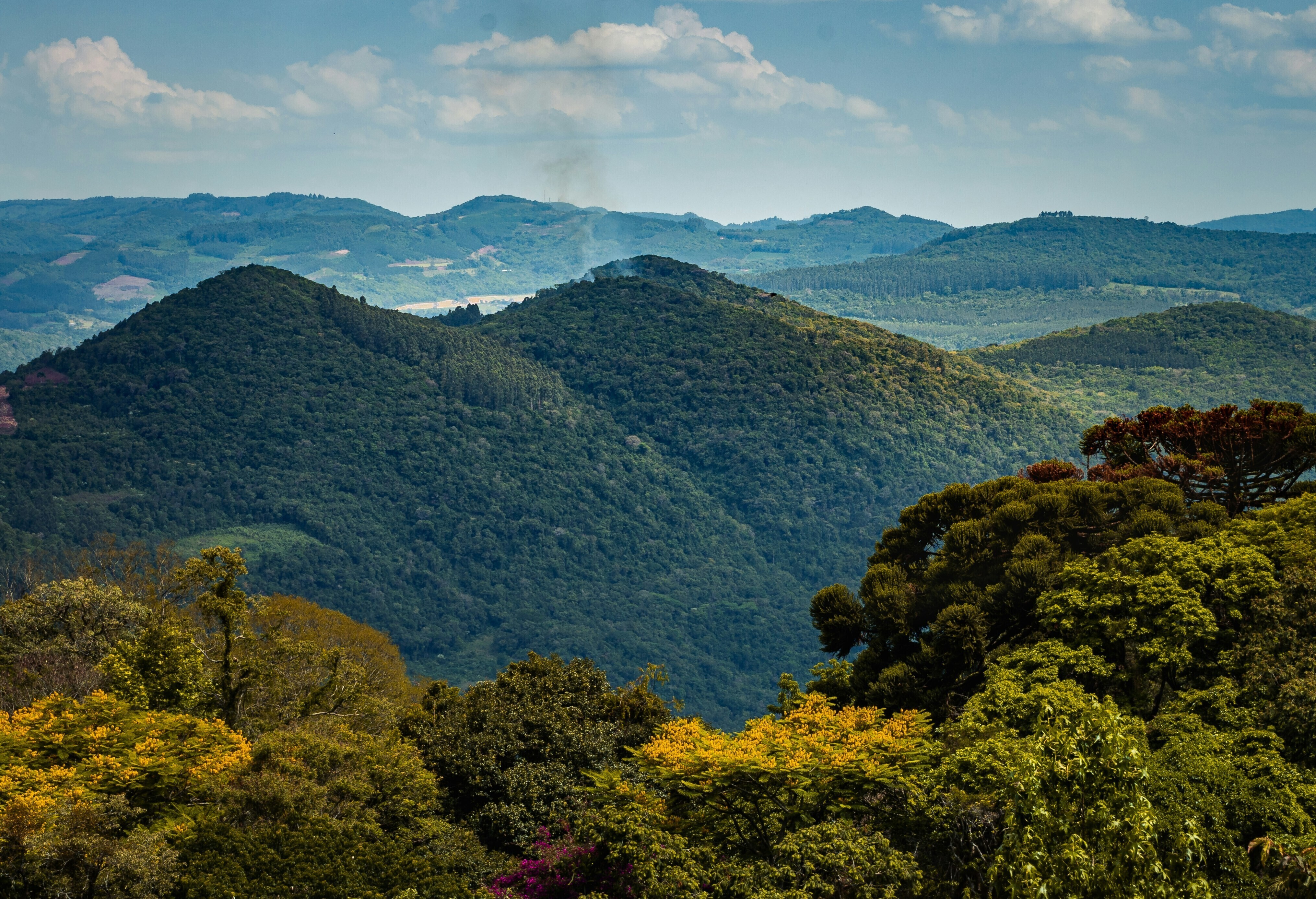 ブラジル、ベレンの山々。気候ファイナンスをスケールアップし、グローバルな目標を達成することは、環境上の要請であるだけでなく、経済上の要請でもあります。