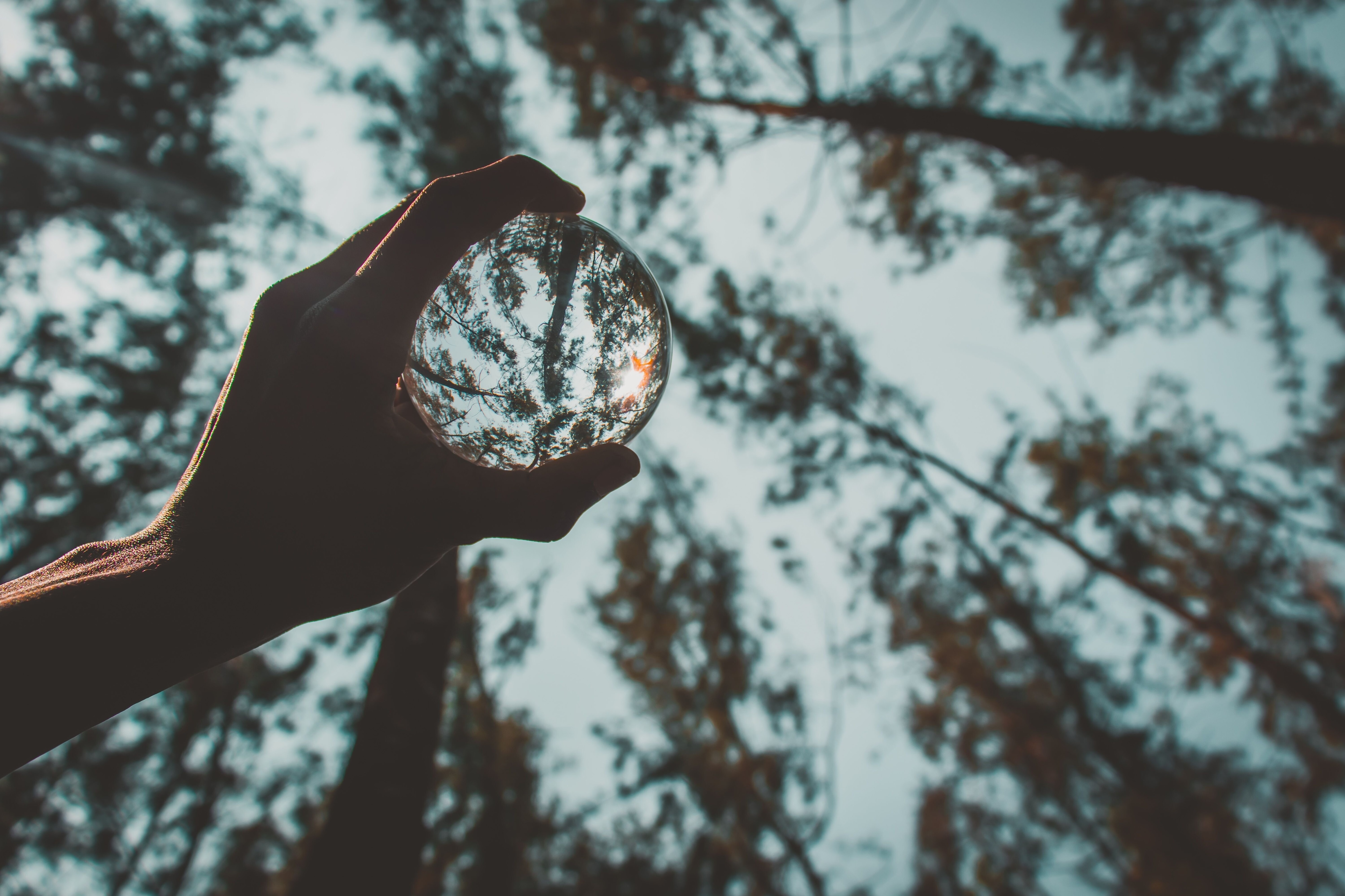 Climate and nature-positive solutions can be winning business models. 