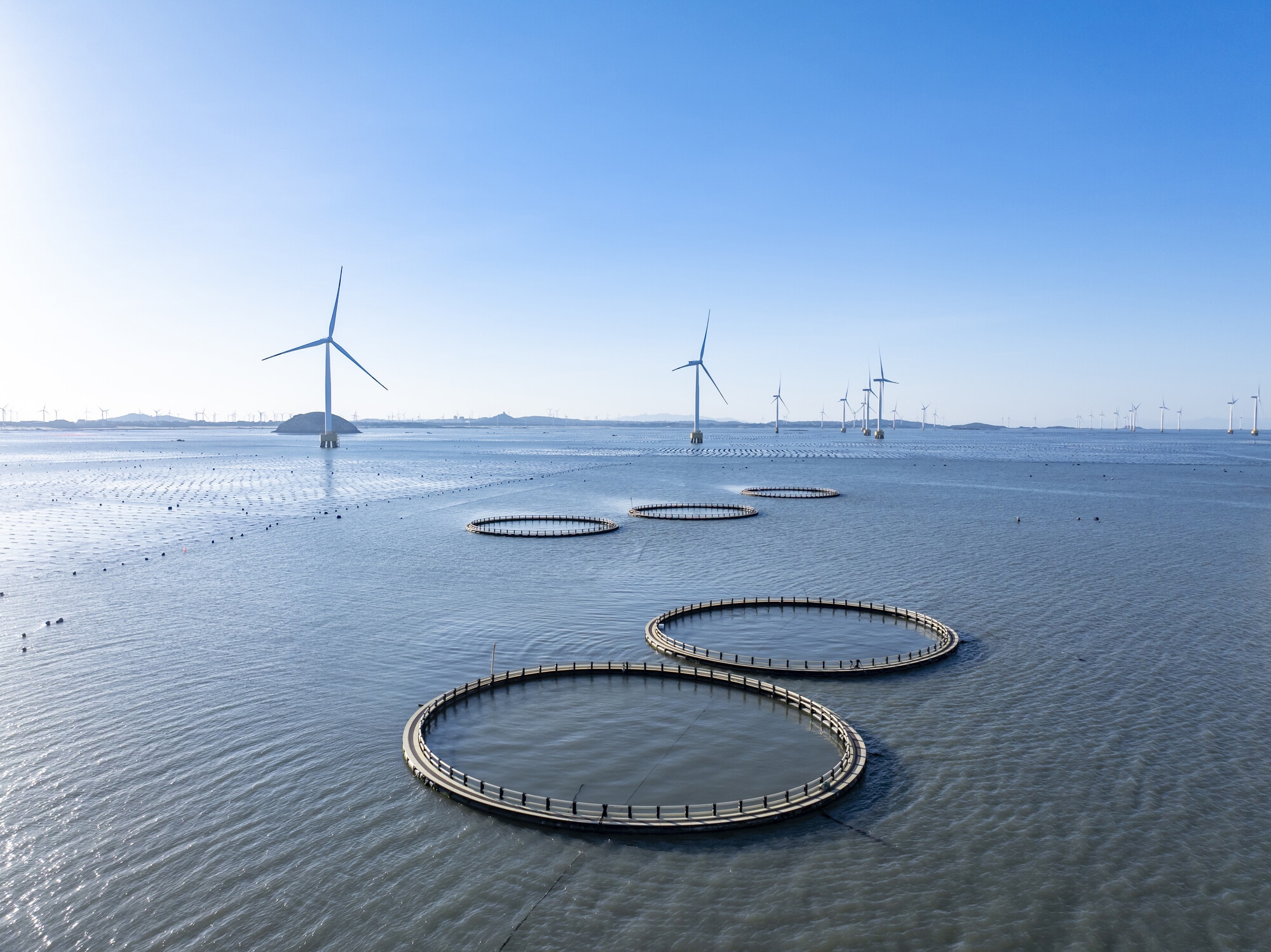 Wind power generation behind offshore aquaculture bases