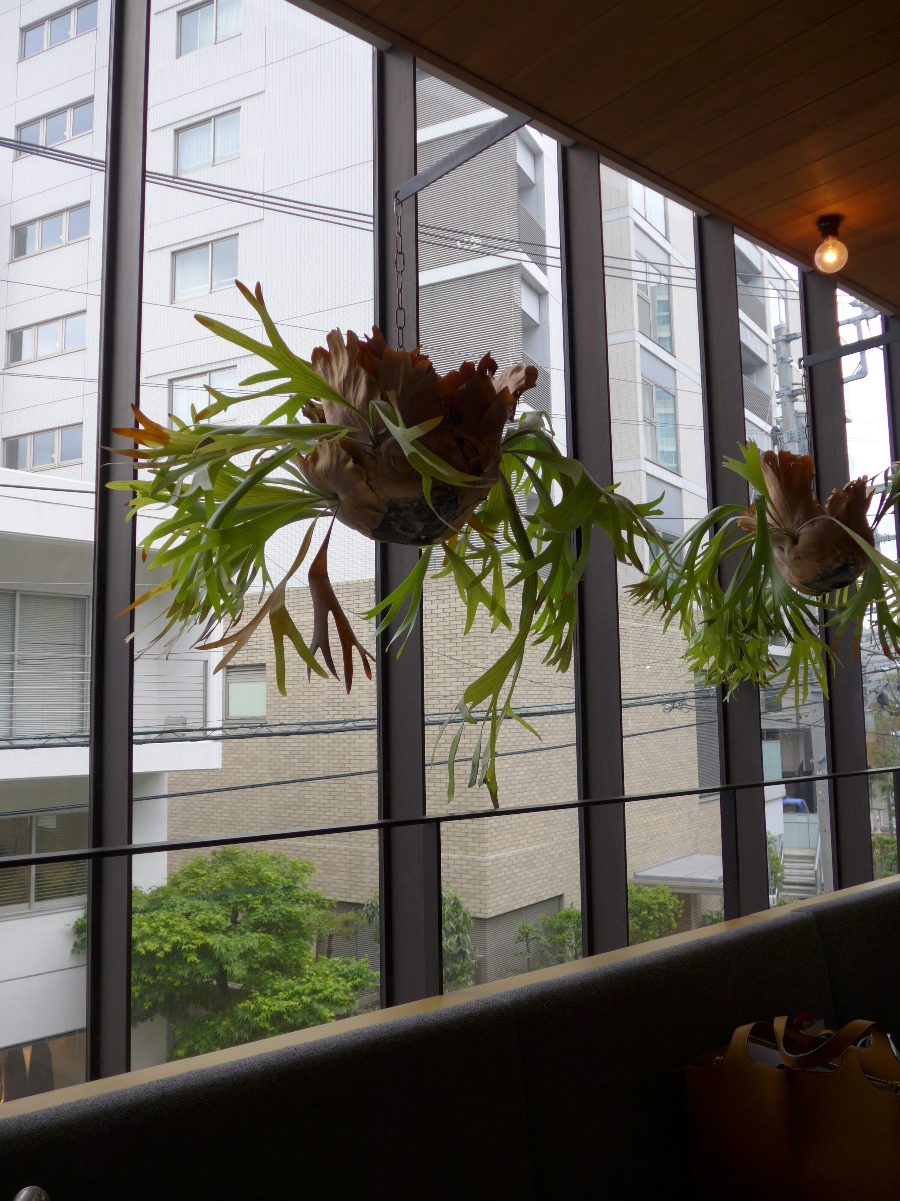 Indoor air quality gets little attention in the pollution debate.