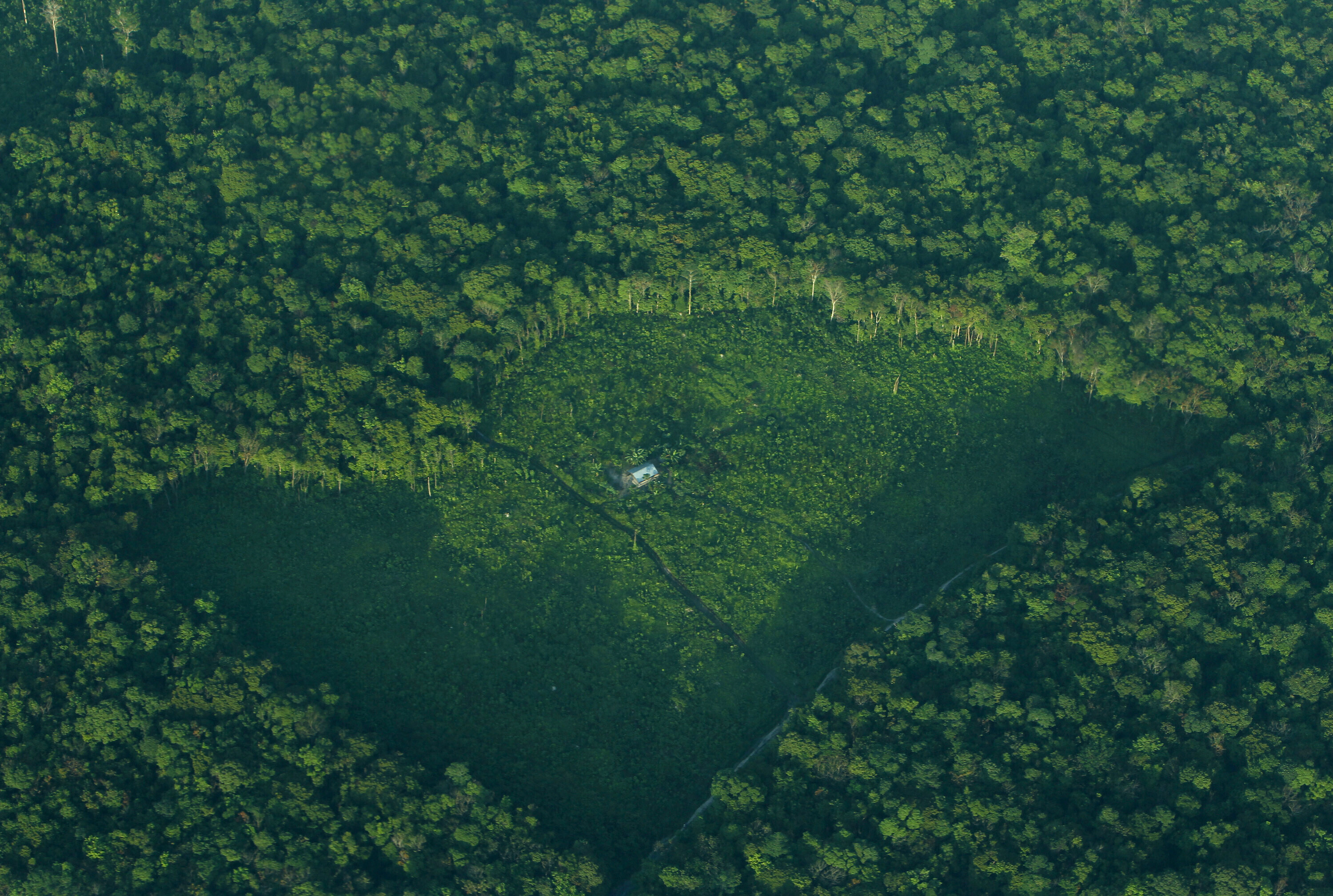 Vista aérea de un claro en un bosque de la isla indonesia de Sumatra, 5 de agosto de 2010: Últimamente se han producido conversaciones positivas en torno a la restauración forestal.