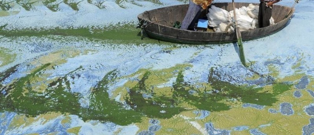 ¿Motivo para un nuevo optimismo sobre el cambio climático?