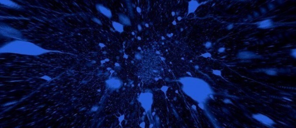 細胞はどのように遺伝子を制御しているのか？