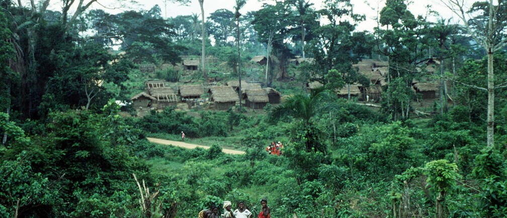 How Liberia will save its forests