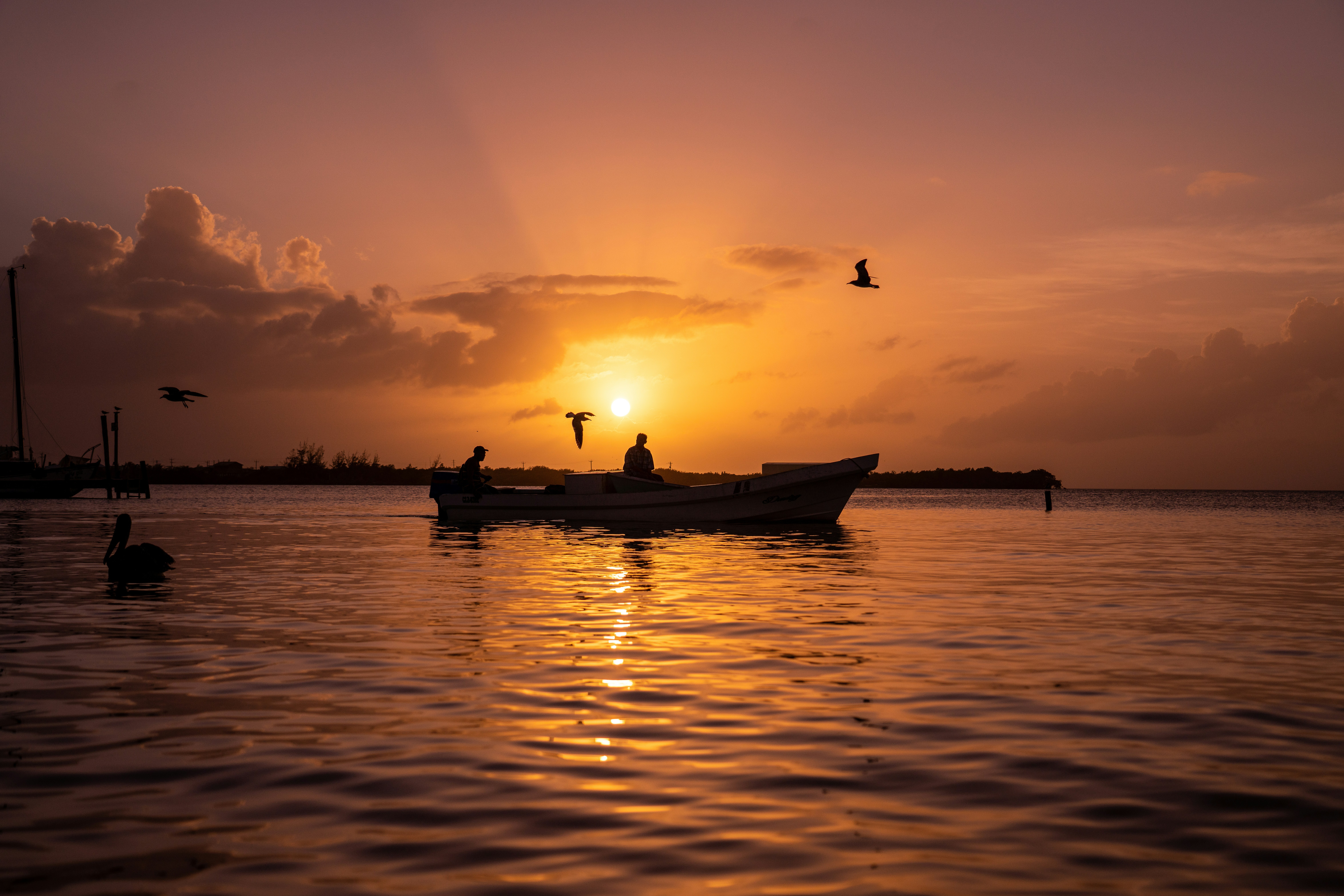 Fishing for investment … Belize has converted its sovereign debt into ocean protection pledges.