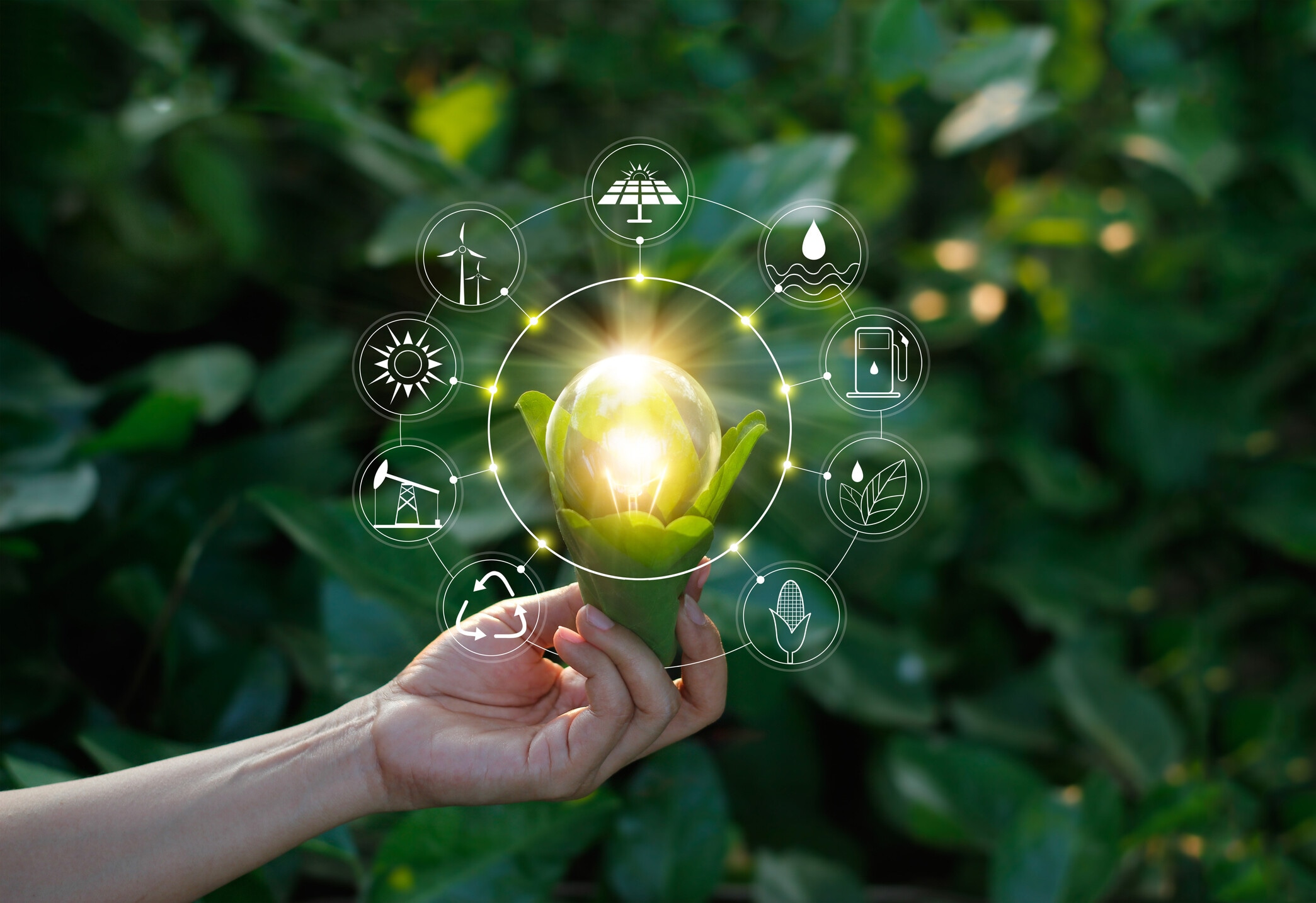 Hand holding light bulb against nature on green leaf with icons energy sources for renewable, sustainable development. Ecology concept. Elements of this image furnished by NASA. Biotechnology