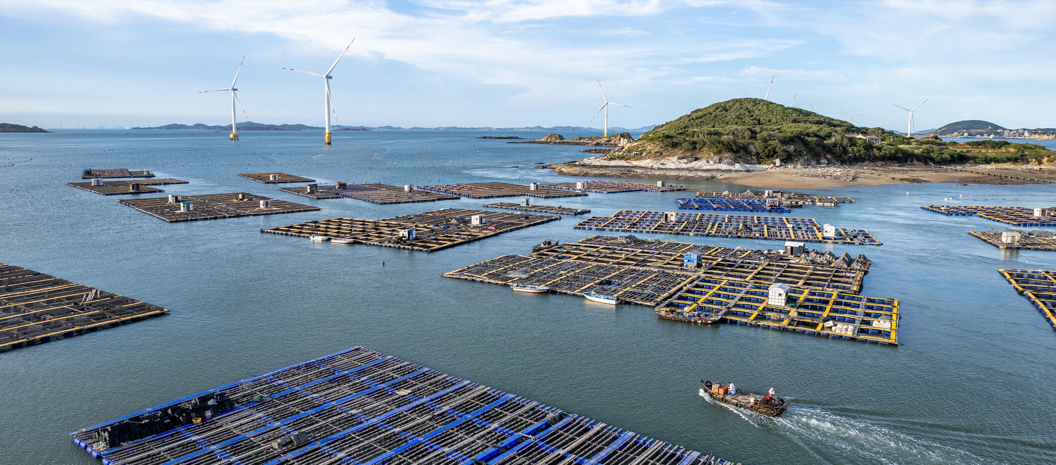 The ocean underpins much of global trade, provides food for billions, regulates climate stability and protects coastal infrastructure.